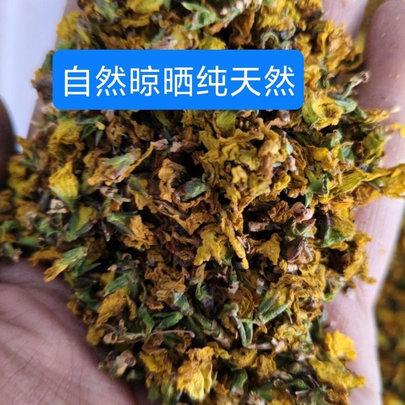 大自然的馈赠野生连翘花干花自然晾晒***