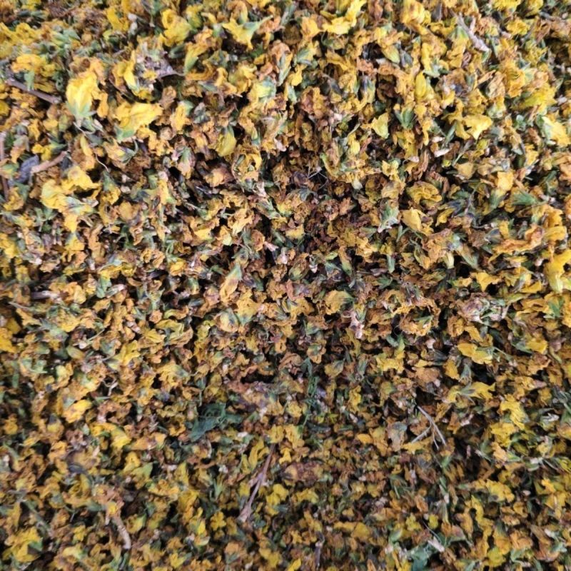 大自然的馈赠野生连翘花干花自然晾晒***