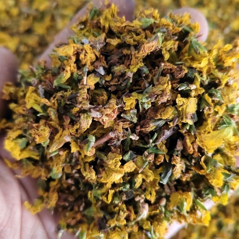 大自然的馈赠野生连翘花干花自然晾晒***