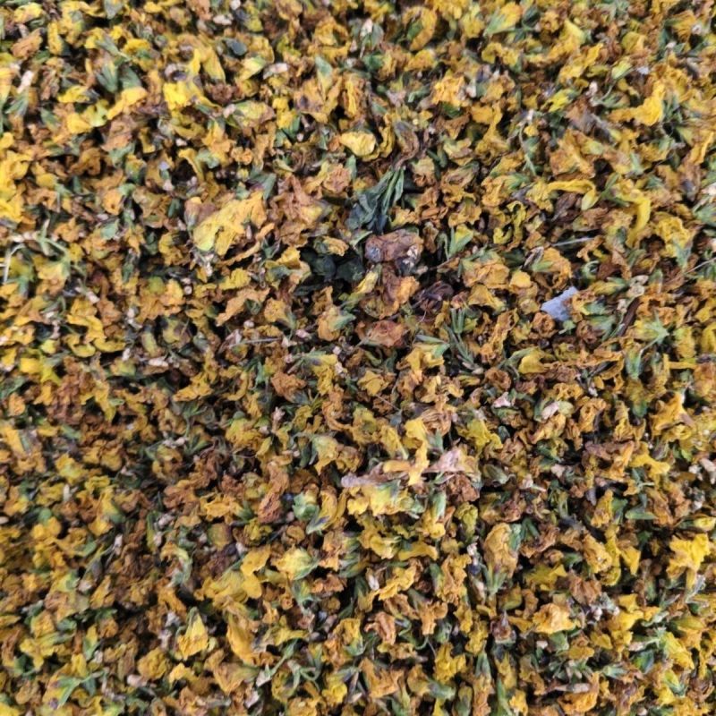 大自然的馈赠野生连翘花干花自然晾晒***