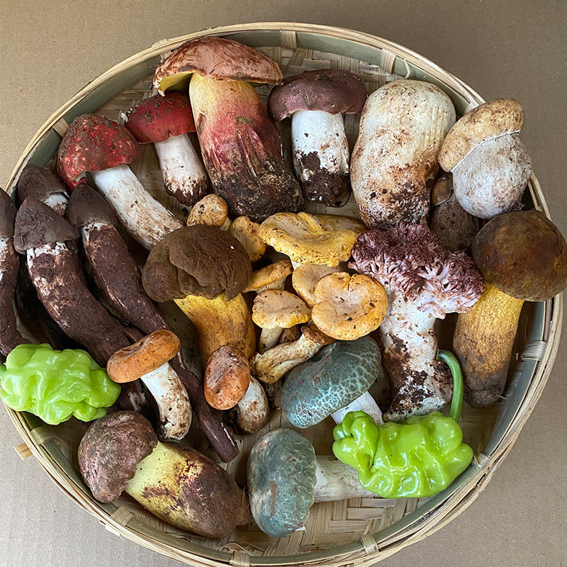 云南新鲜野生菌组合杂菌牛肝菌鸡枞荔枝菌松茸青头菌火锅蘑菇