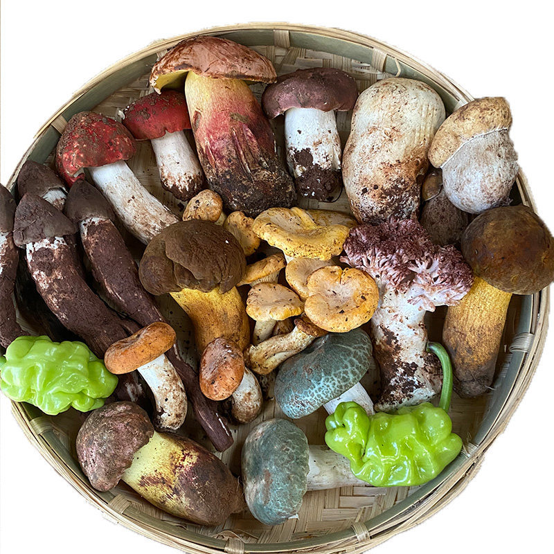 云南新鲜野生菌组合杂菌牛肝菌鸡枞荔枝菌松茸青头菌火锅蘑菇