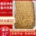 工厂批发大连干贝200-800头淡干干贝瑶柱干货批发