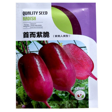首尔紫脆凤梨水果萝卜种子10g脆甜高产高端基地种