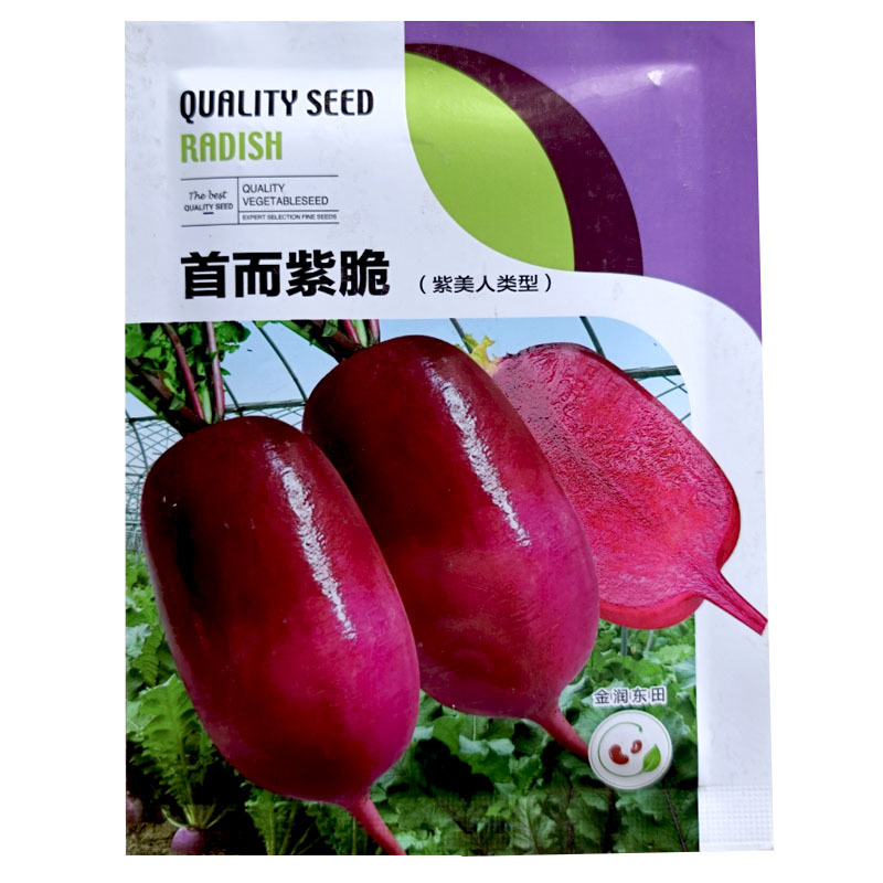 首尔紫脆凤梨水果萝卜种子10g脆甜高产高端基地种