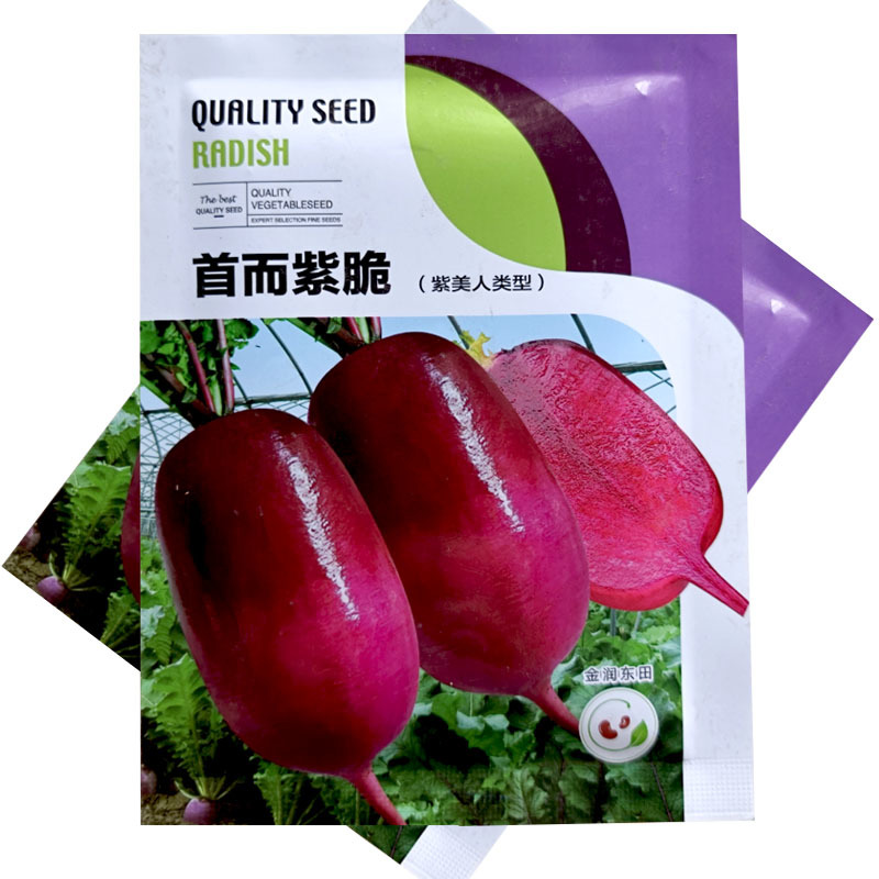 首尔紫脆凤梨水果萝卜种子10g脆甜高产高端基地种