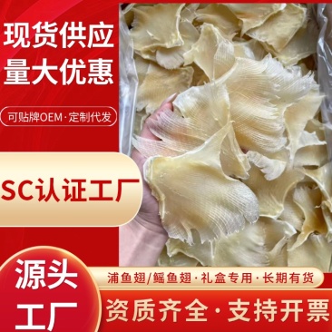 工厂直供浦鱼翅500克鳐鱼翅批发鱼翅礼盒
