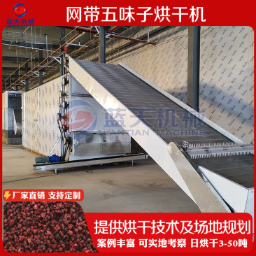 中药材五味子烘干机大型北五味子辽五味子南五味子烘干设备