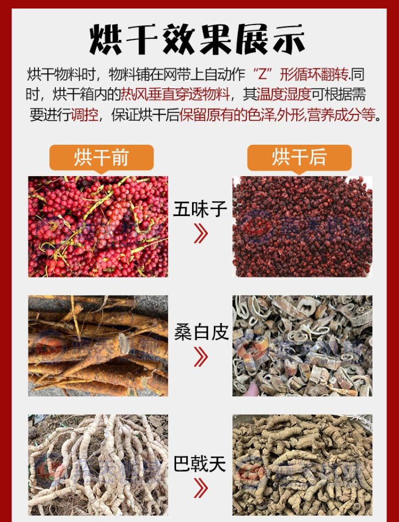 中药材五味子烘干机大型北五味子辽五味子南五味子烘干设备