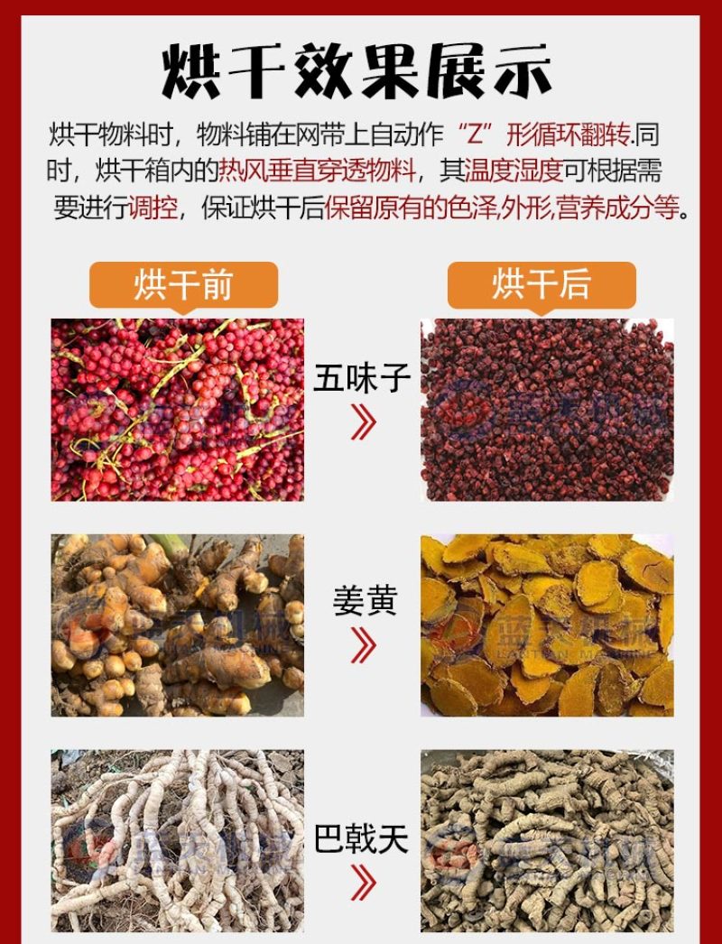 网带姜黄烘干机姜黄清洗切片烘干磨粉生产线片姜黄烘干设备