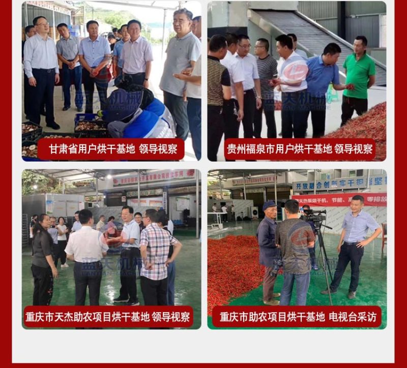 网带姜黄烘干机姜黄清洗切片烘干磨粉生产线片姜黄烘干设备