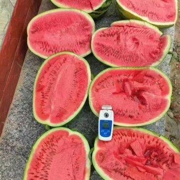 宁夏精品硒砂瓜口感好/保质保量/大量有货/欢迎咨询