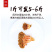 海参花干货批发加拿大海参花礼盒