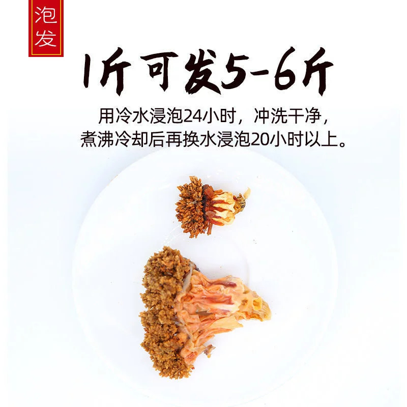 海参花干货批发加拿大海参花礼盒