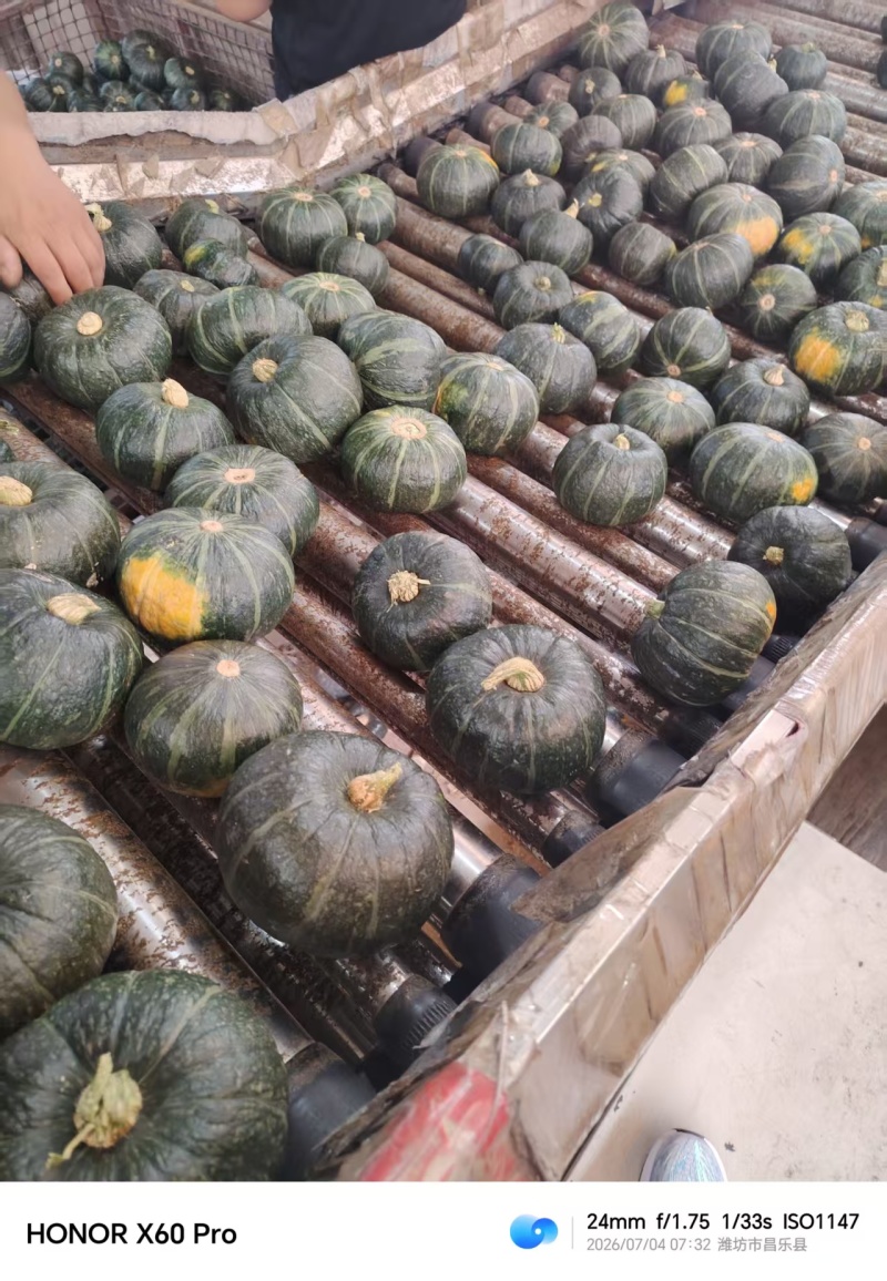 精品贝贝南瓜/产区直发/货源充足/大量有货