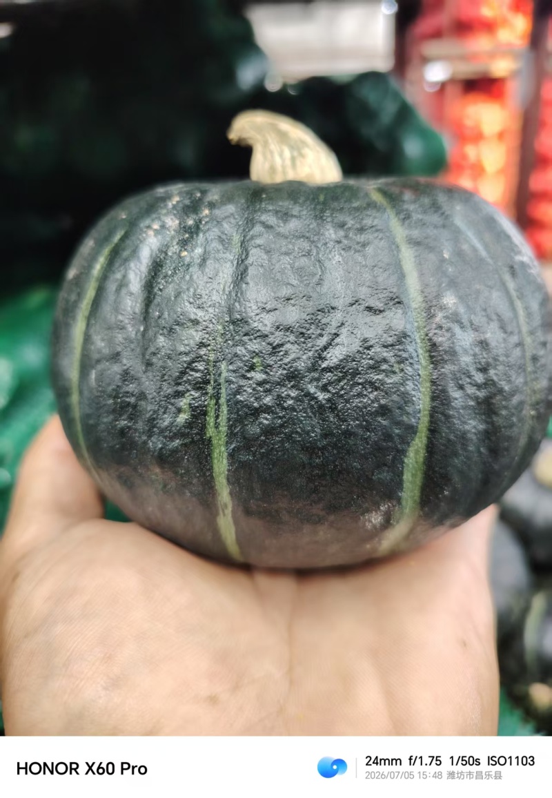 精品贝贝南瓜/产区直发/货源充足/大量有货