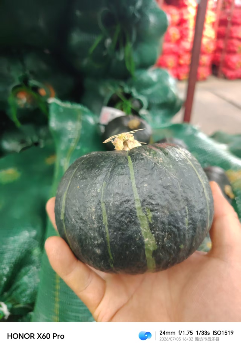 精品贝贝南瓜/产区直发/货源充足/大量有货
