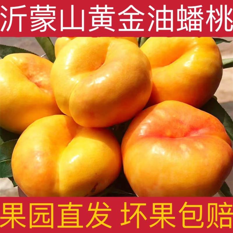 山东蒙阴彩虹蟠桃黄油蟠桃