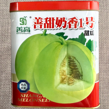 善甜奶香1号甜瓜种子早熟高产薄皮甜宝种子果肉淡绿圆形味浓