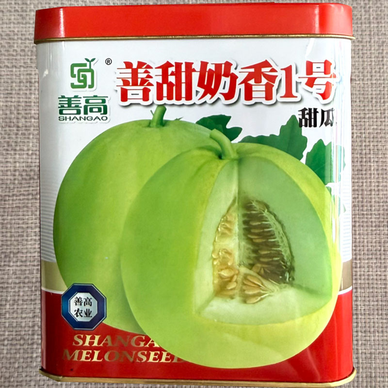 善甜奶香1号甜瓜种子早熟高产薄皮甜宝种子果肉淡绿圆形味浓