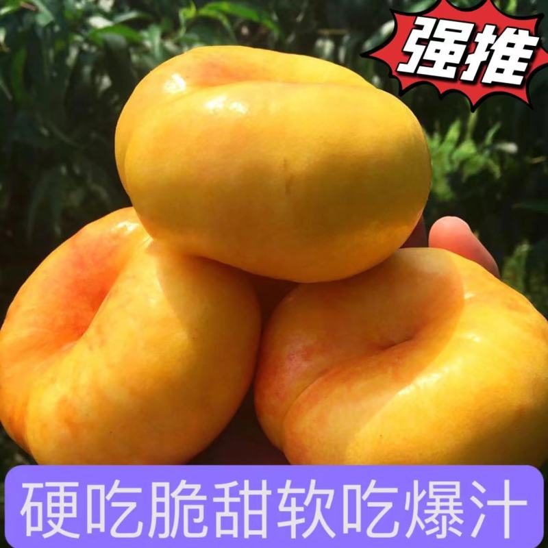山东蒙阴彩虹蟠桃黄油蟠桃