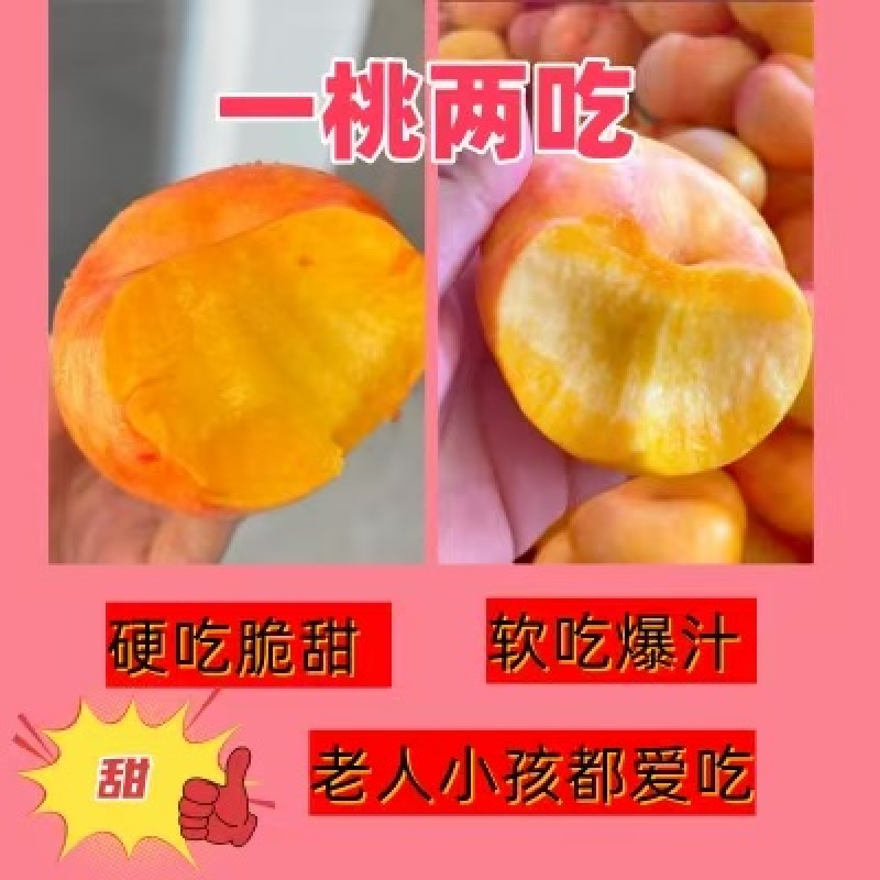 山东蒙阴彩虹蟠桃黄油蟠桃