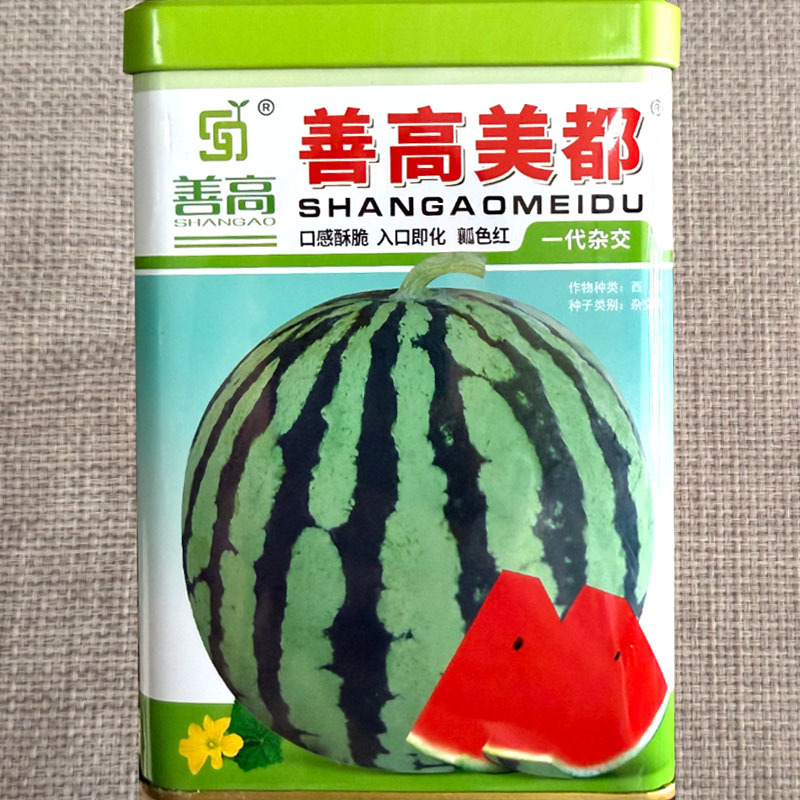 善高美都西瓜种子正宗美都西瓜种籽薄皮肉质酥脆早熟圆西瓜籽
