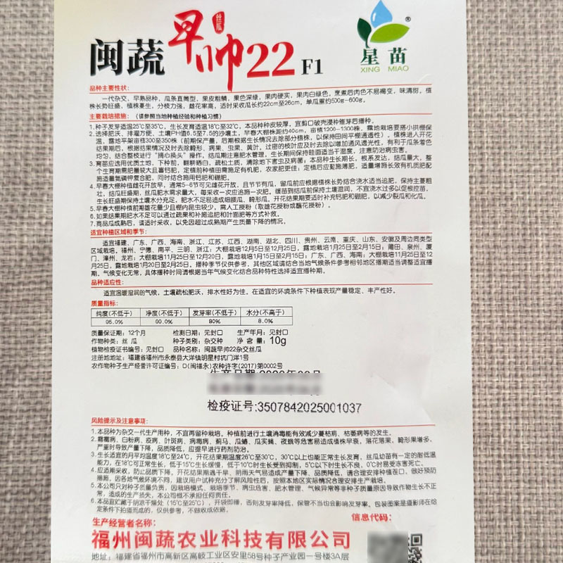 闽蔬早帅22肉丝瓜种子杂交早熟瓜条直筒形果肉硬实味清甜
