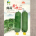 闽蔬早帅22肉丝瓜种子杂交早熟瓜条直筒形果肉硬实味清甜