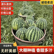 『大棚西瓜/美都西瓜』无籽西瓜/浙江台州人种植/包熟包甜