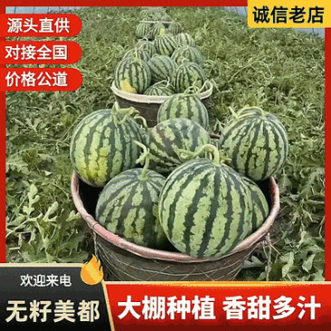 『大棚西瓜/美都西瓜』无籽西瓜/浙江台州人种植/包熟包甜