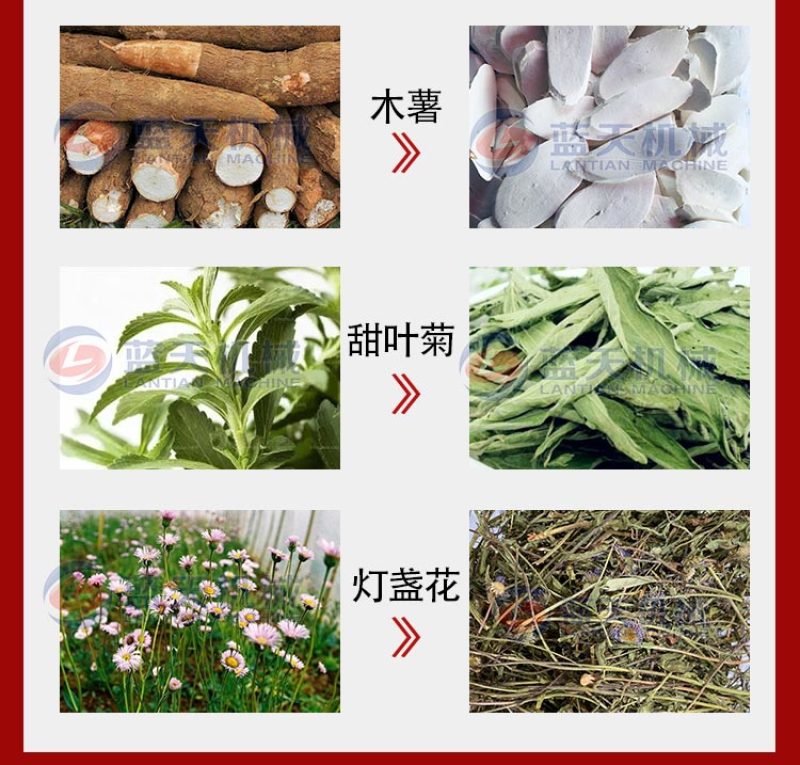 网带白芷烘干机中药材白芷个白术片烘干机白芷切片烘干生产线