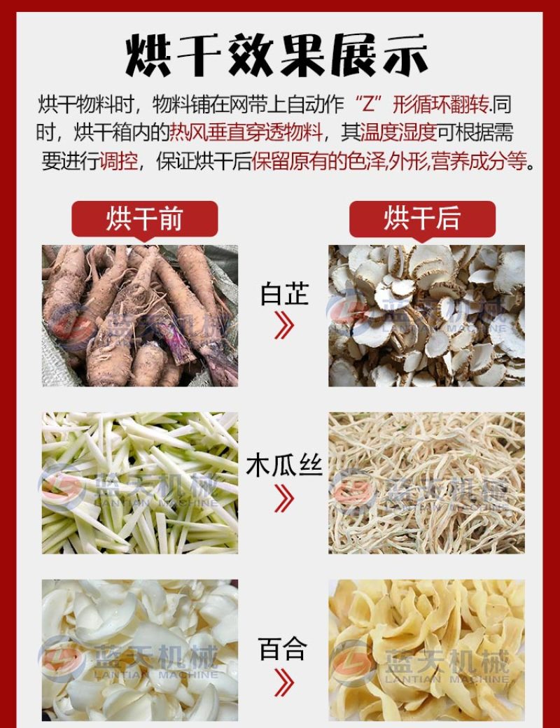 网带白芷烘干机中药材白芷个白术片烘干机白芷切片烘干生产线