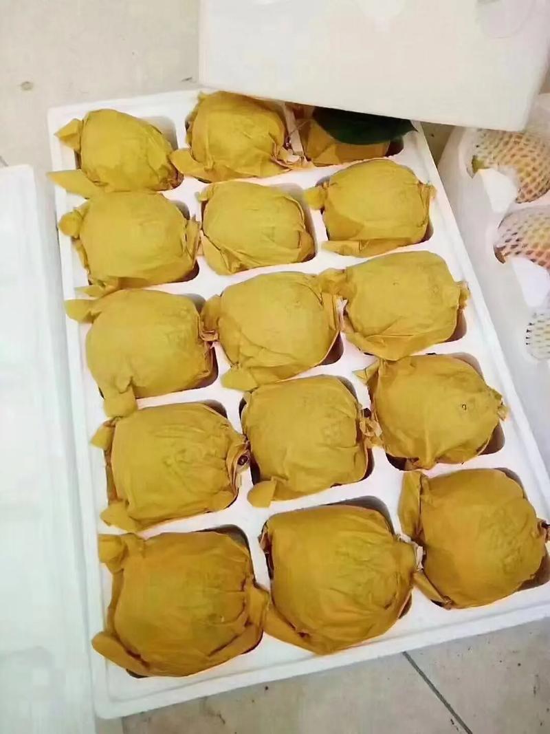 精品翠玉梨产地直发大量有货保质保量可视频看货