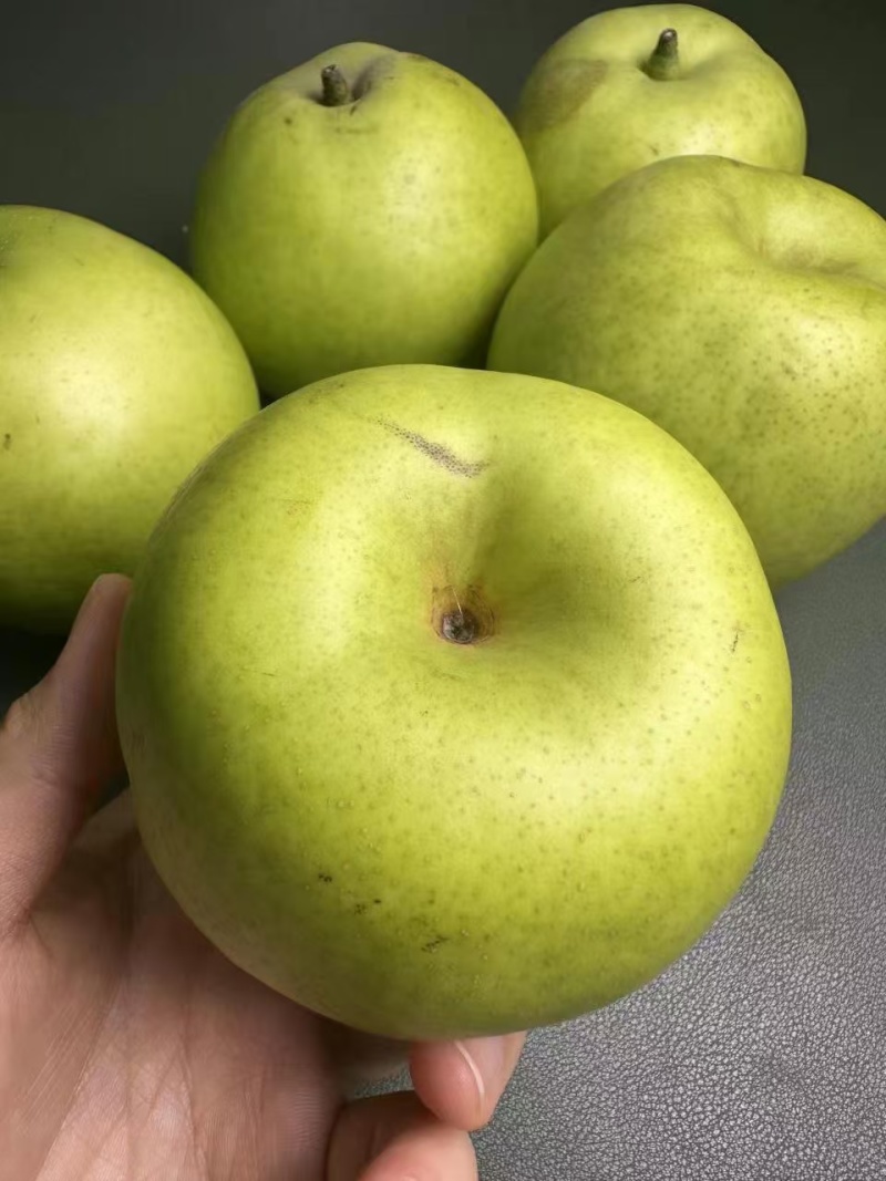 精品翠玉梨产地直发大量有货保质保量可视频看货