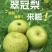 翠冠梨，肉汁细腻，糖份高，果型端正，货源充足
