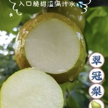翠冠梨，肉汁细腻，糖份高，果型端正，货源充足