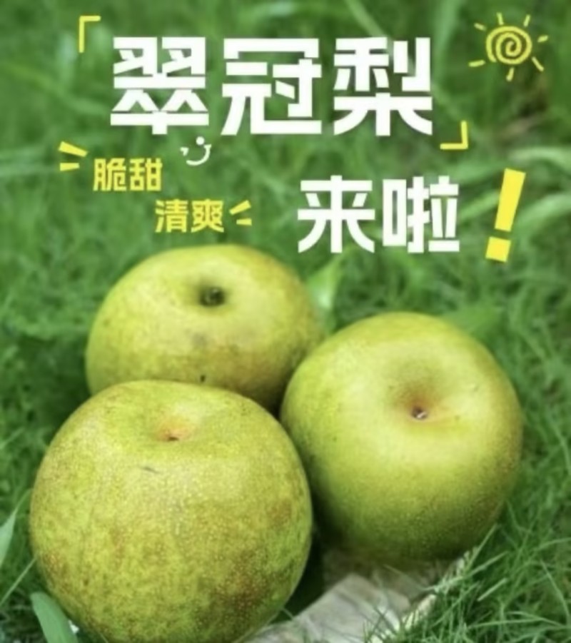翠冠梨，纯甜无渣，电商，社区团购，出口，产地直发
