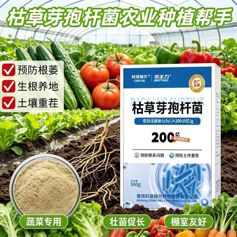 【正品】枯草芽孢杆菌正品200亿含量生根养地提苗