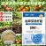 【正品】枯草芽孢杆菌正品200亿含量生根养地提苗