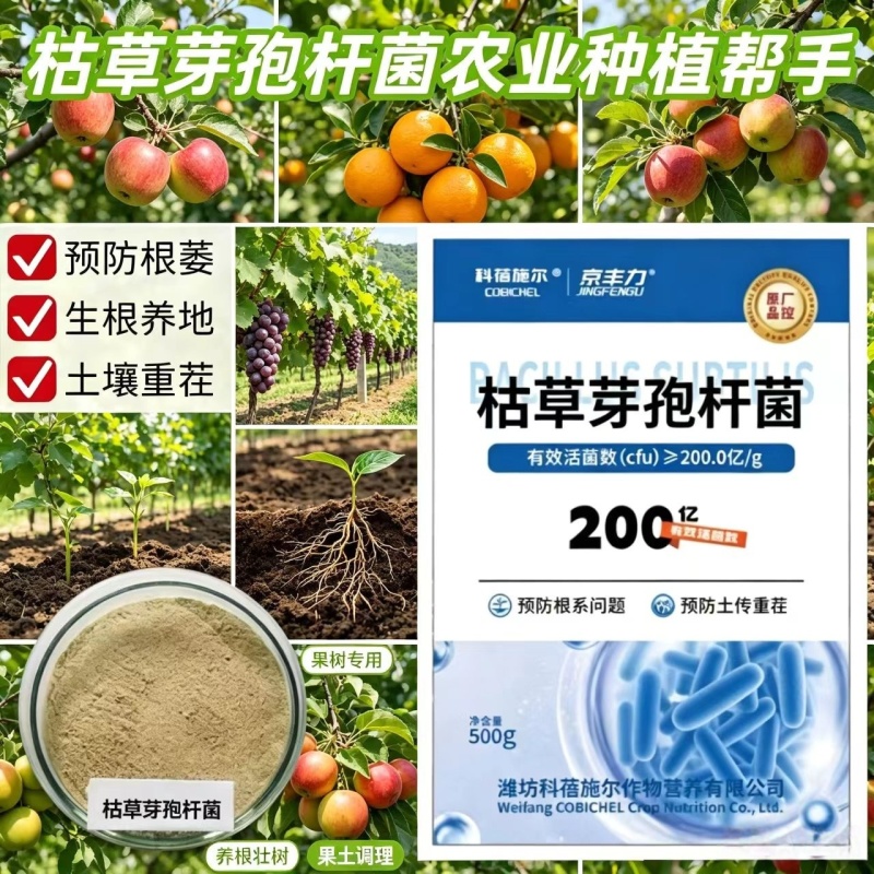 【正品】枯草芽孢杆菌正品200亿含量生根养地提苗