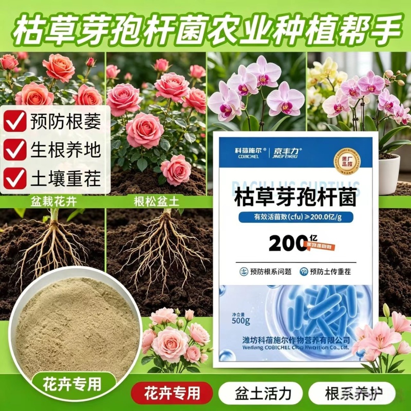 【正品】枯草芽孢杆菌正品200亿含量生根养地提苗
