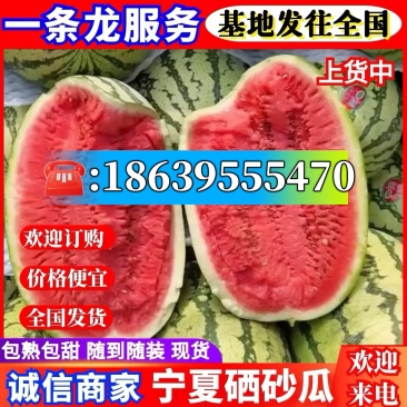 【金花西瓜】金花1号/金花6号/宁夏西瓜/硒砂瓜石缝瓜
