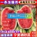 【金花西瓜】金花1号/金花6号/宁夏西瓜/硒砂瓜石缝瓜