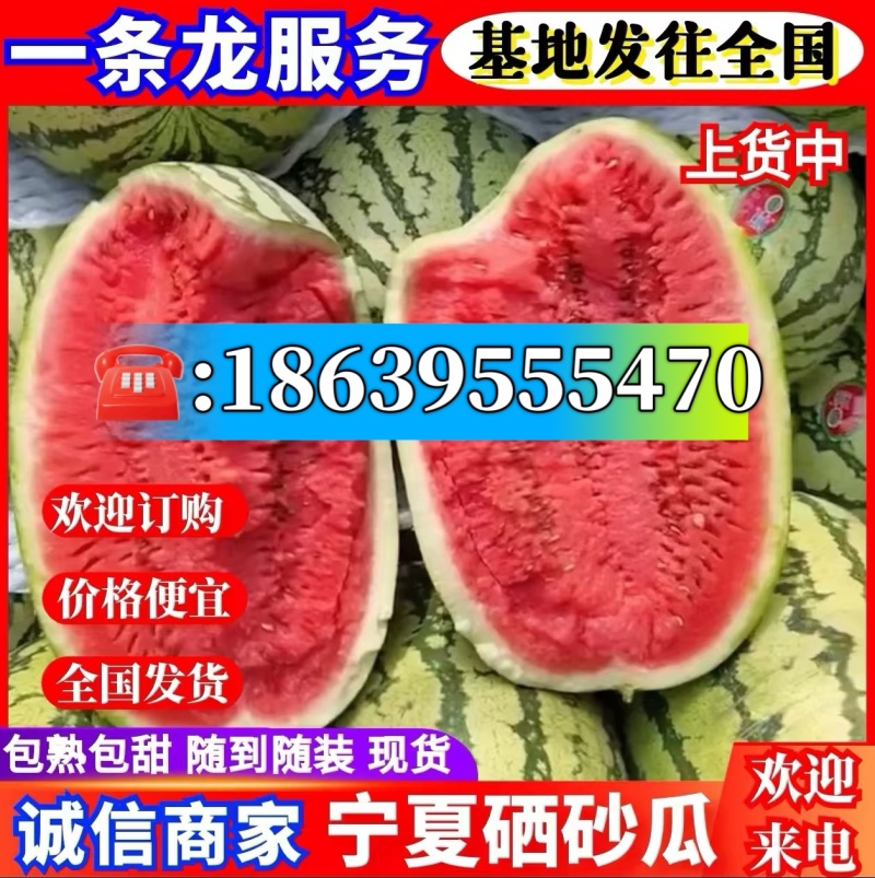 【金花西瓜】金花1号/金花6号/宁夏西瓜/硒砂瓜石缝瓜