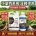 沃根多生根微生物菌剂调理土壤防根腐生根提苗通用