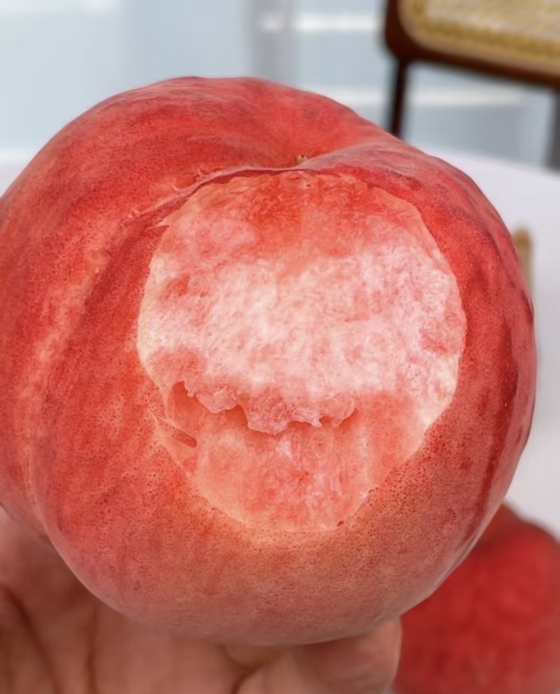 桃子🍑精品毛桃红不软毛桃产地直发量大从优可对接全国等