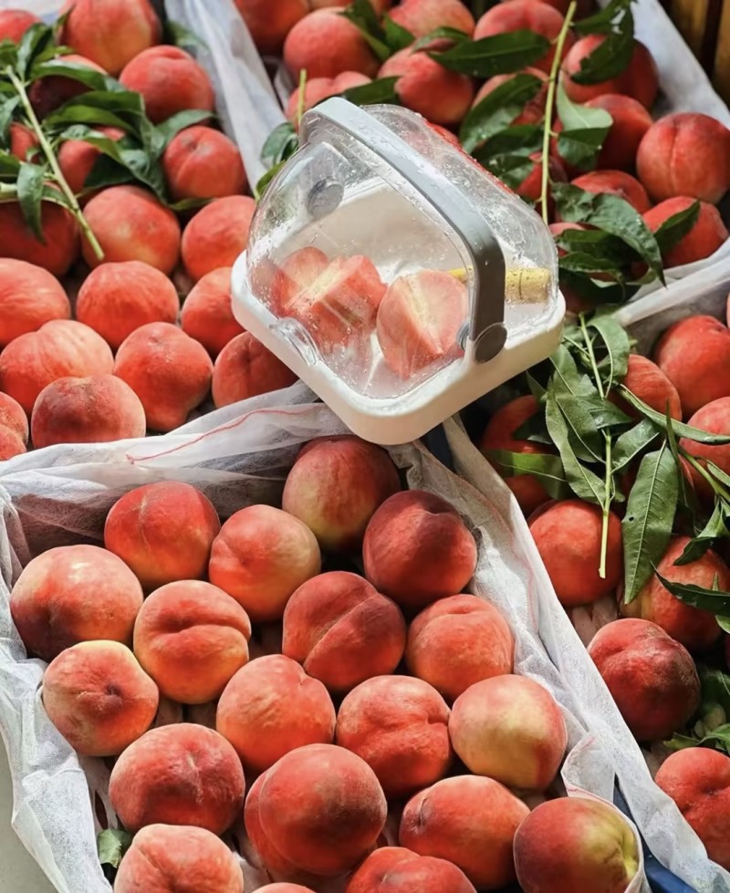 桃子🍑精品毛桃红不软毛桃产地直发量大从优可对接全国等