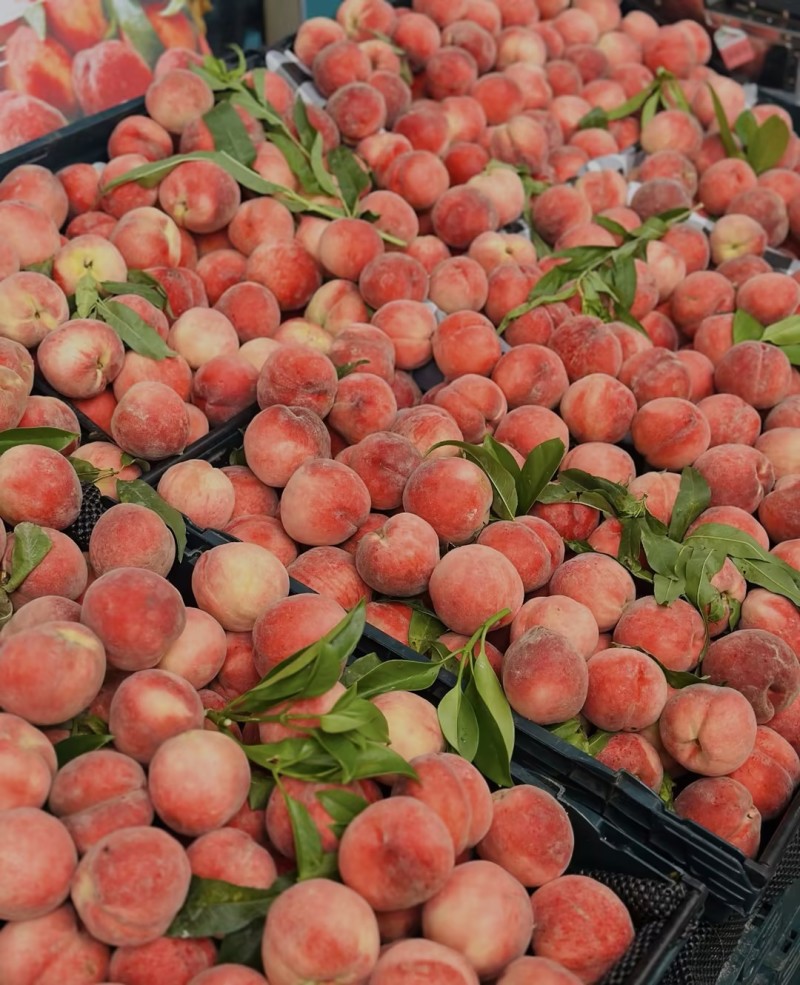 桃子🍑精品毛桃红不软毛桃产地直发量大从优可对接全国等