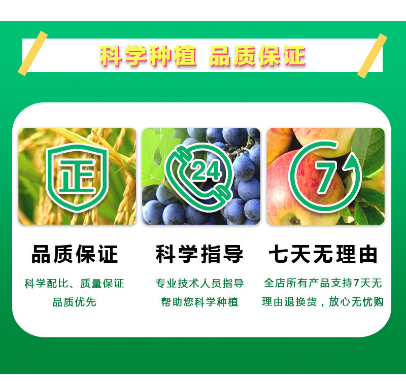 80%烯啶·吡蚜酮烯啶虫胺水稻稻飞虱害虫作物农药杀虫